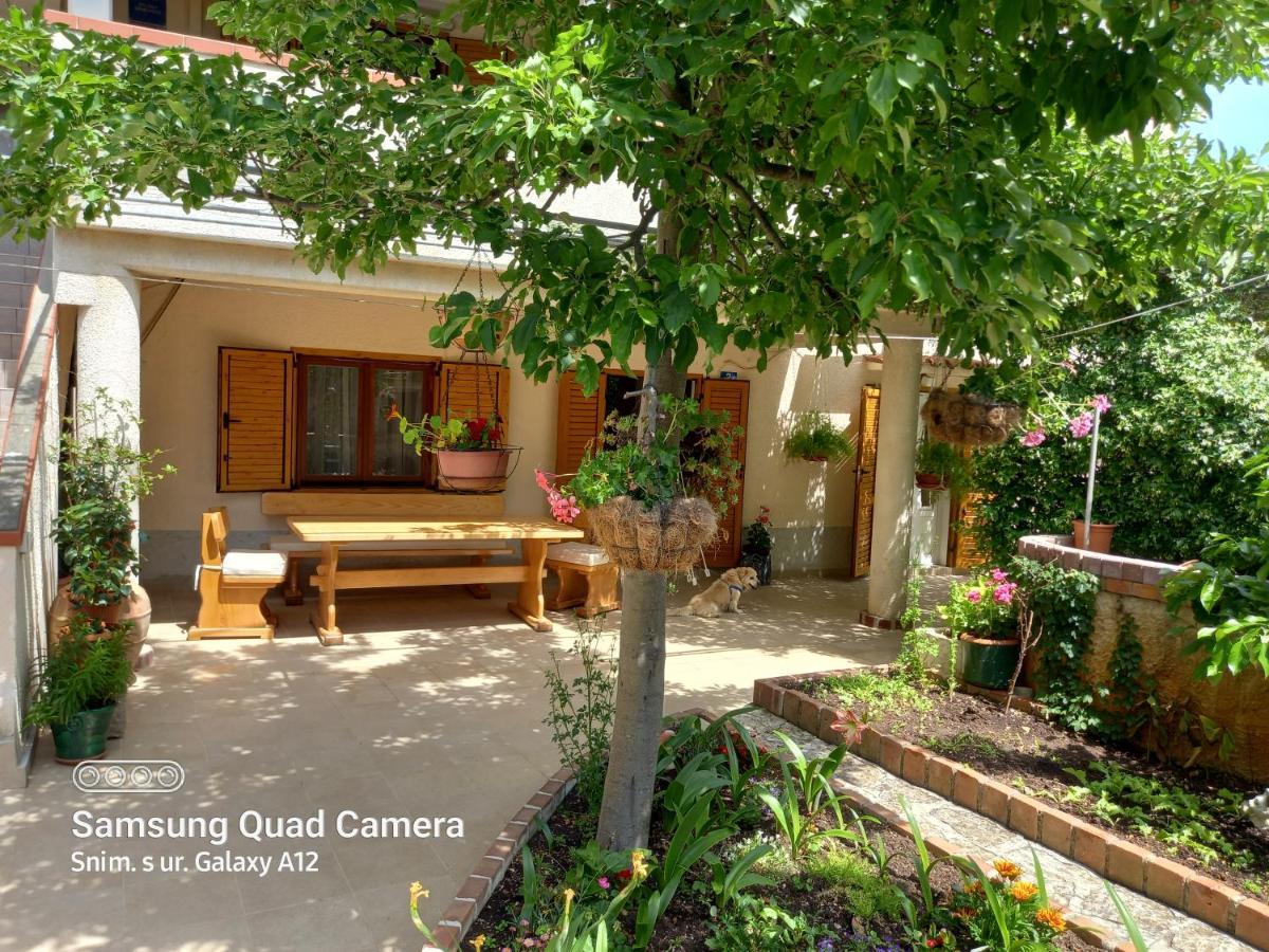 Apartmani Rukonic Aleksandar 네레자인 외부 사진
