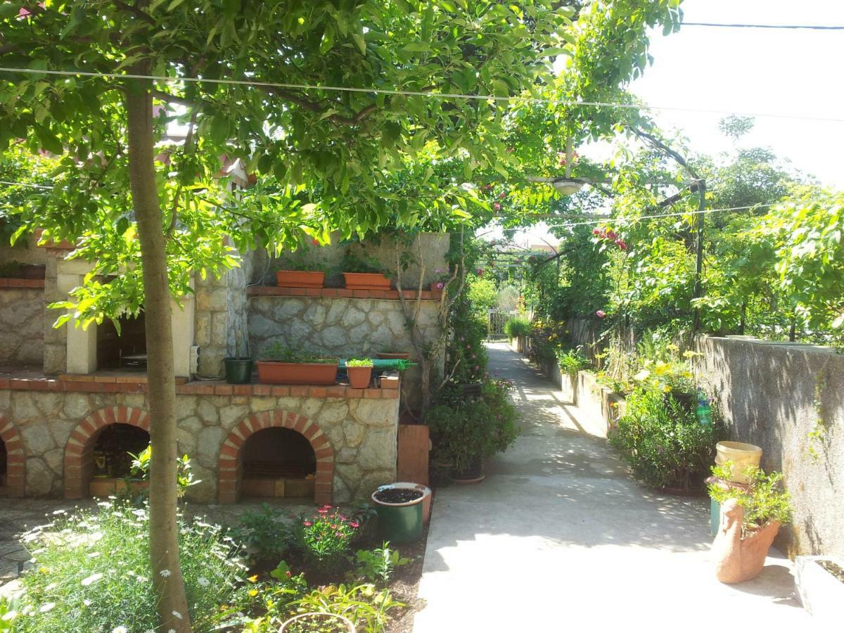 Apartmani Rukonic Aleksandar 네레자인 외부 사진