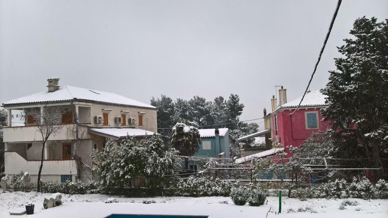 Apartmani Rukonic Aleksandar 네레자인 외부 사진